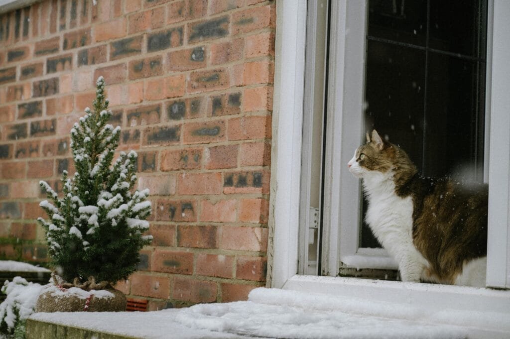 How to Navigate an Ice Storm and Protect Your Home